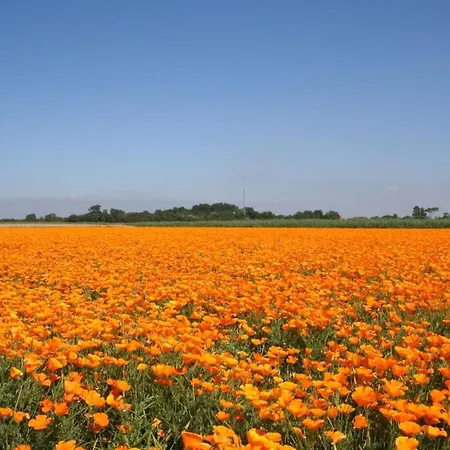 Casa de Férias House In With 2 Bedrooms