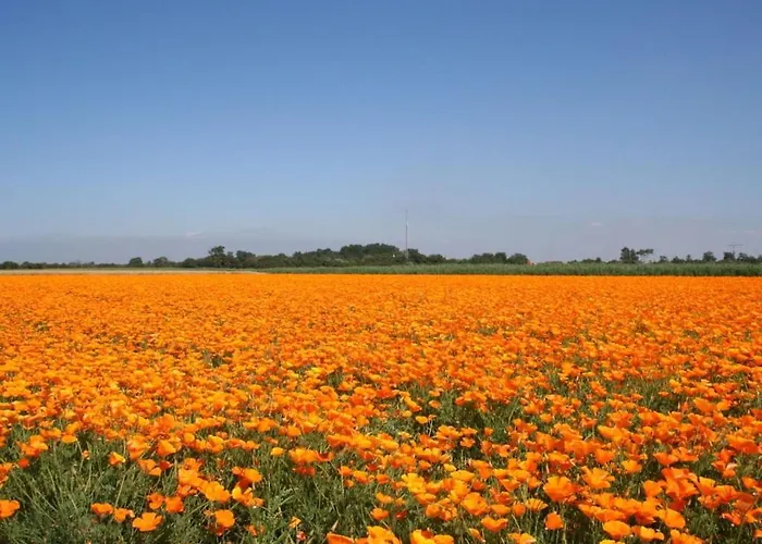 Tatil Evi House In With 2 Bedrooms