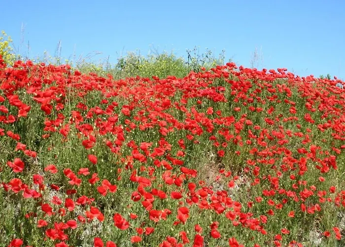 Casa de Férias House In With 2 Bedrooms Ouddorp